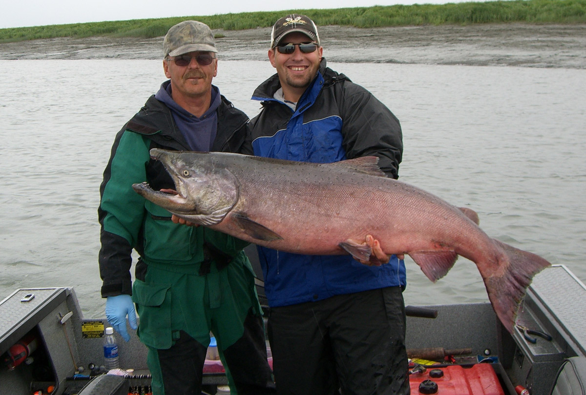 Kenai River King Salmon Fishing, Charters & Day Trips