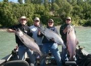 alaska-king-salmon-11