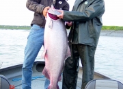 alaska-king-salmon-13