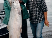 alaska-king-salmon-27