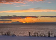 wild-life-and-view-at-lodging-6