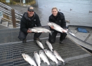 alaska-silver-salmon-1