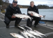 alaska-silver-salmon-2