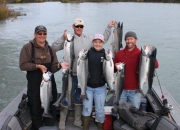 alaska-silver-salmon-8