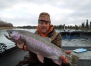 alaska-trout