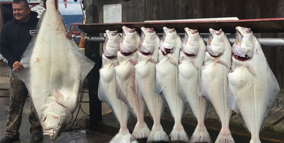 Alaska Halibut Fishing Trips